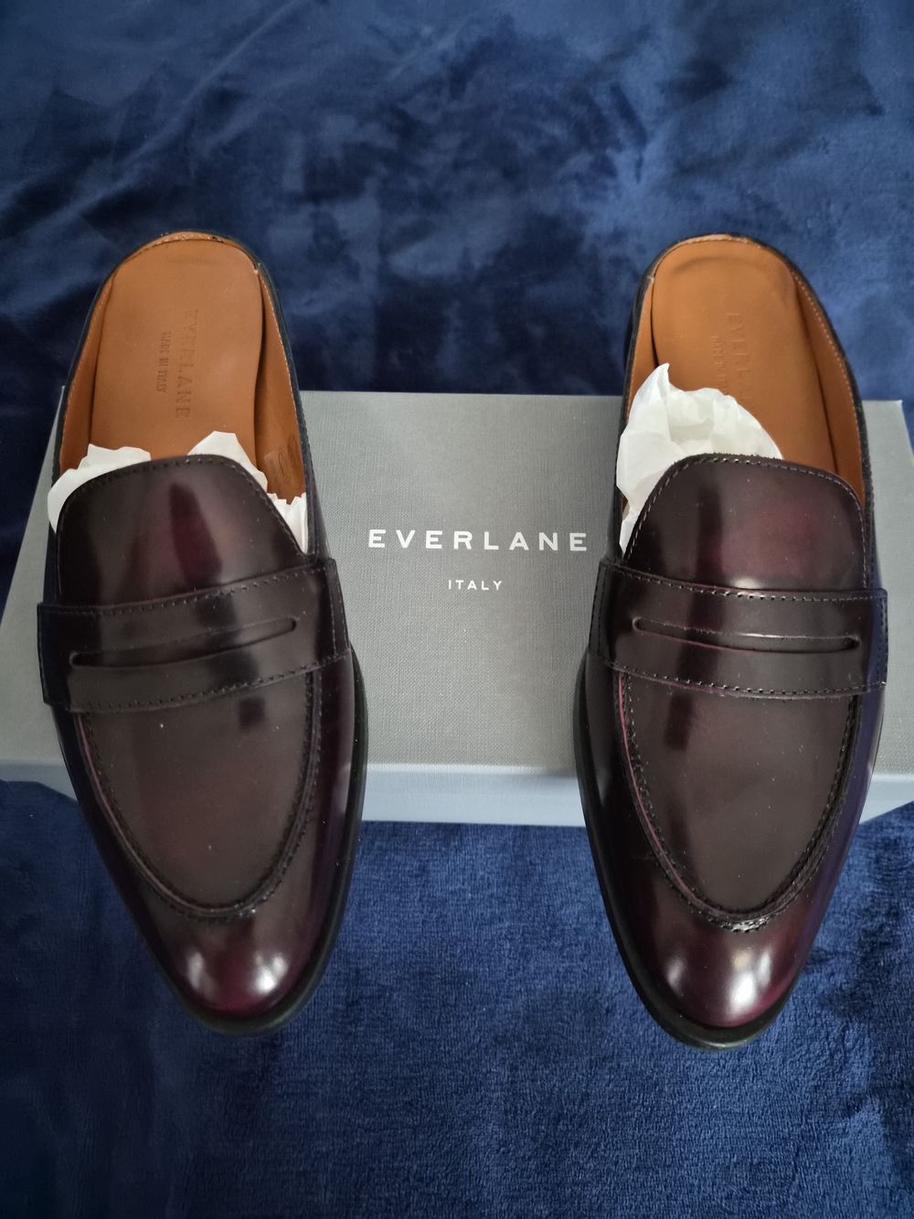 Everlane Women’s Burgundy Leather Penny Loafer Mules New